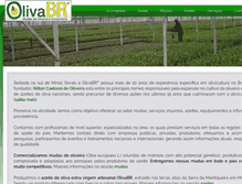 Tablet Screenshot of olivabr.com